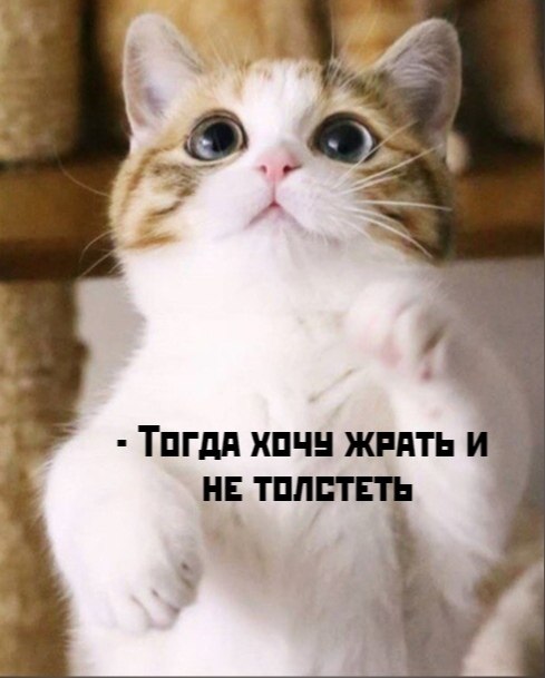       - 15  2025  13:37 - 3