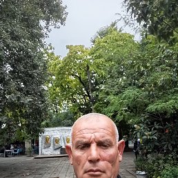 , 48, 