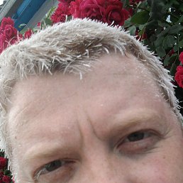 ����, ���������, 44 ����