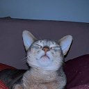 ���� ���������, ������� - ��������� 27 ������ 2025 � ������ ������ ��������