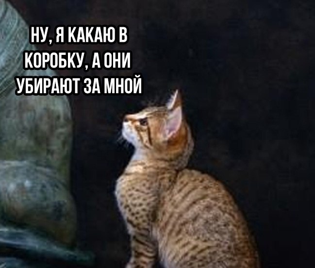      - 2