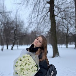 �����, 29 ���, ������ ��������