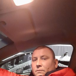 , 41, 