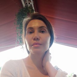 ���� �����, ������, 41 ��� - ��������� 25 ������ 2024