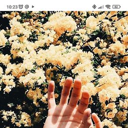 , , 40 