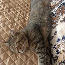 ���� �������, ���, 48 ��� - ��������� 27 ������� 2026 � ������ ���� ����������