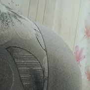 , 45 , 