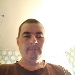 , 37, 