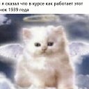 ���� L, �������, 30 ��� - ��������� 25 ������ 2025