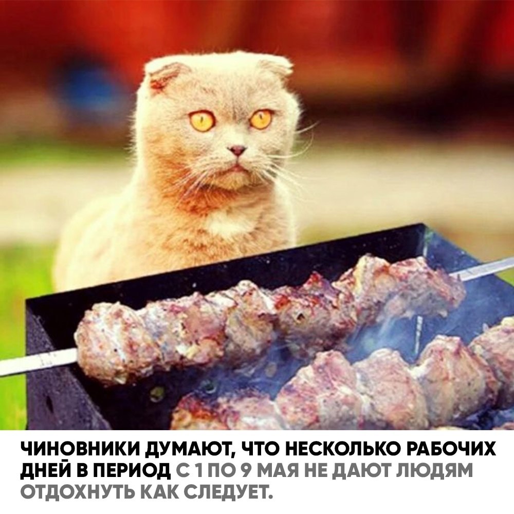    :      !  ... - 2