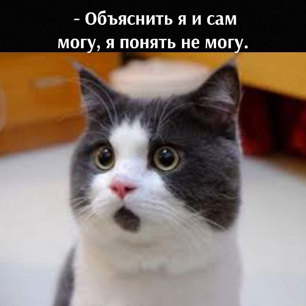       - 6  2025  15:46 - 3