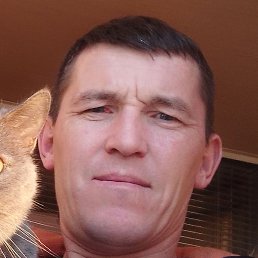 ��������, ���, 44 ����