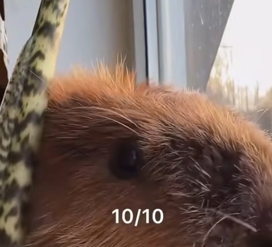 :    - 2