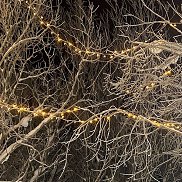 �������, 20 ���, ���������