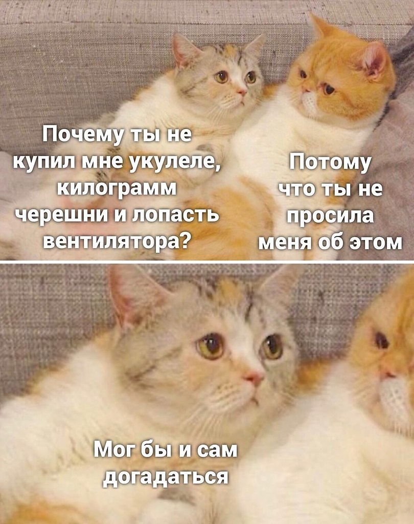   - 13  2025  21:41