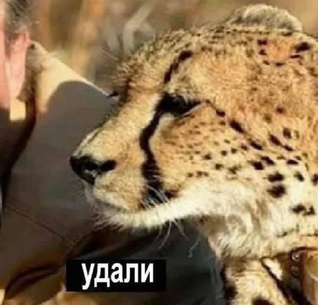    -  . - 27  2025  18:55 - 4