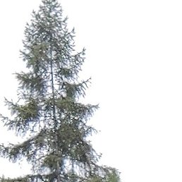 , -, 28 