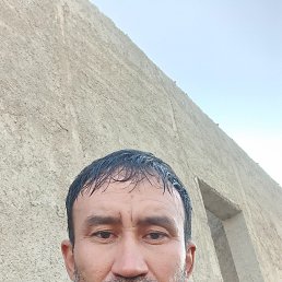 , 39, 