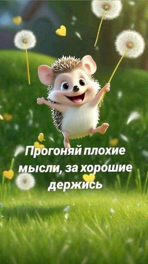   - 14  2025  15:43