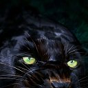���� ����, ���������, 61 ��� - ��������� 11 ����� 2024 � ������ ���� ����������
