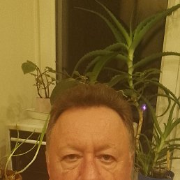 ������, 62 ����, �����-���������