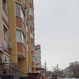 , 41, 