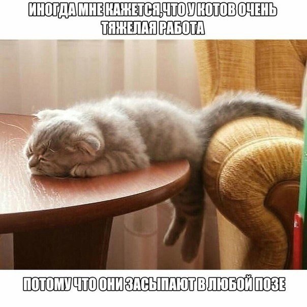 �����? ��, �� �������! - 21 ������� 2023 � 10:22
