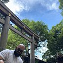 ���� �������, ������, 38 ��� - ��������� 8 ������ 2026 � ������ ���� ����������