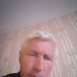 , 53 , 