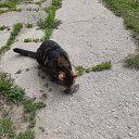 ���� ������, ���� - ��������� 13 ������ 2025 � ������ ������ ��������