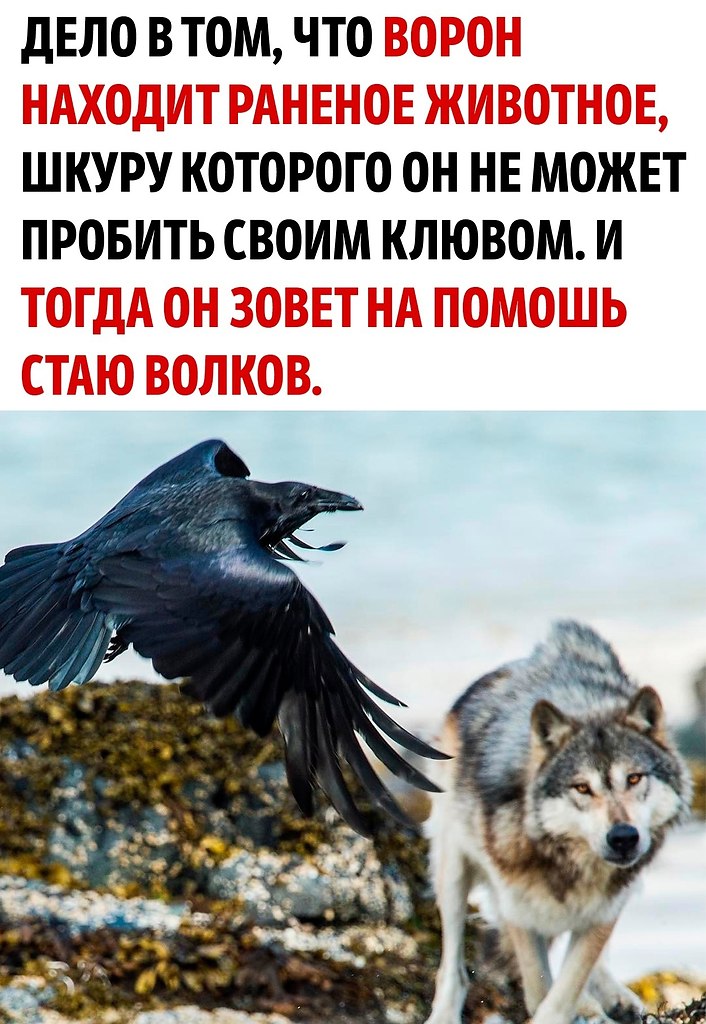        - 2