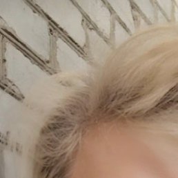 ���������, ������, 50 ���