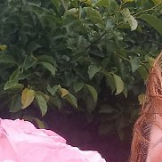 , 44 , 