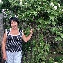 ���� �������, ���������, 66 ��� - ��������� 30 ������ 2026 � ������ ���� ����������