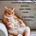 ���� ����, ���� - ��������� 17 ��� 2025 � ������ ������ ��������