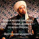 ���� ����, ��������, 63 ���� - ��������� 14 ������� 2026 � ������ ������ ��������