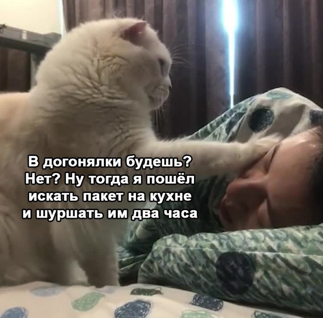     - 3