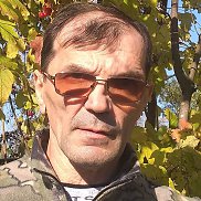 , 61 , 
