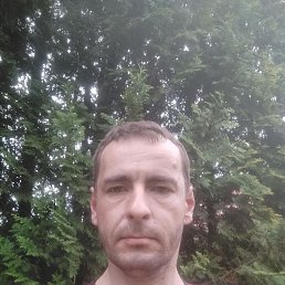 , 38 , -