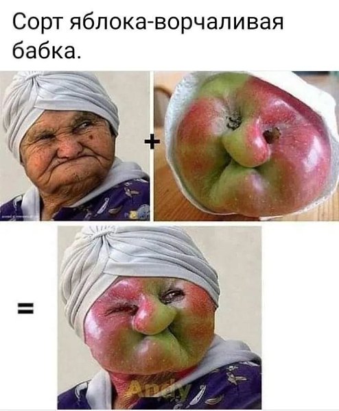  - 28  2024  00:19