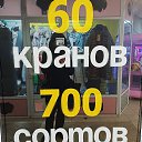���� ������, ������ - ��������� 27 ������ 2026 � ������ ���� ����������