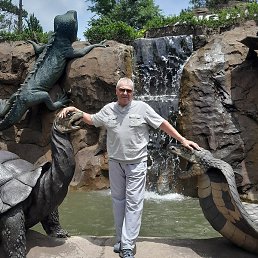 ��������, ������, 60 ���