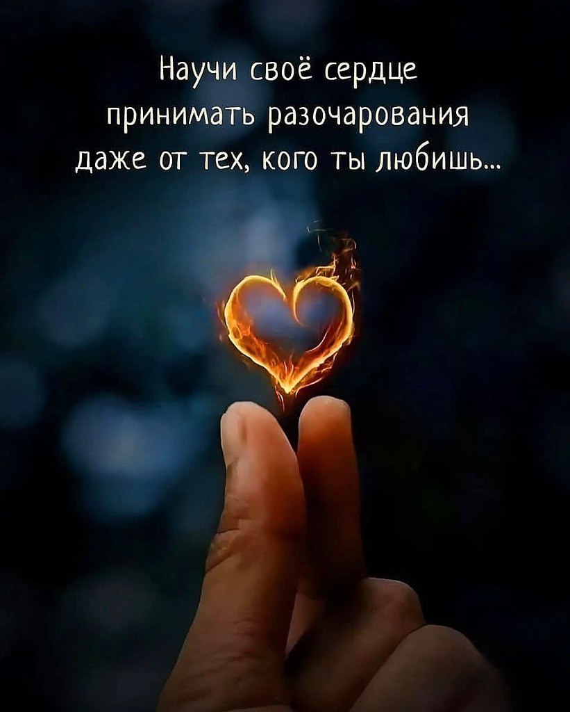 :)  -     ,        ,  ...