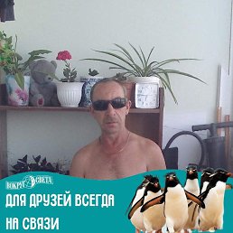 , 54 , 