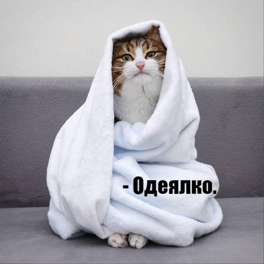 ��� ���� � ����� �� �� - 17 ����� 2026 � 21:30 - 6