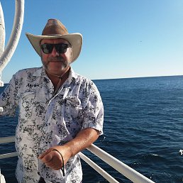 �������, �����-���������, 65 ���