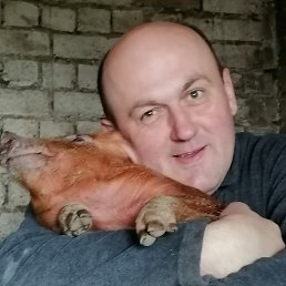 , 36, 
