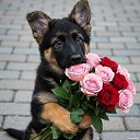 ���� ������, ������, 66 ��� - ��������� 9 ���� 2026 � ������ ������ ��������