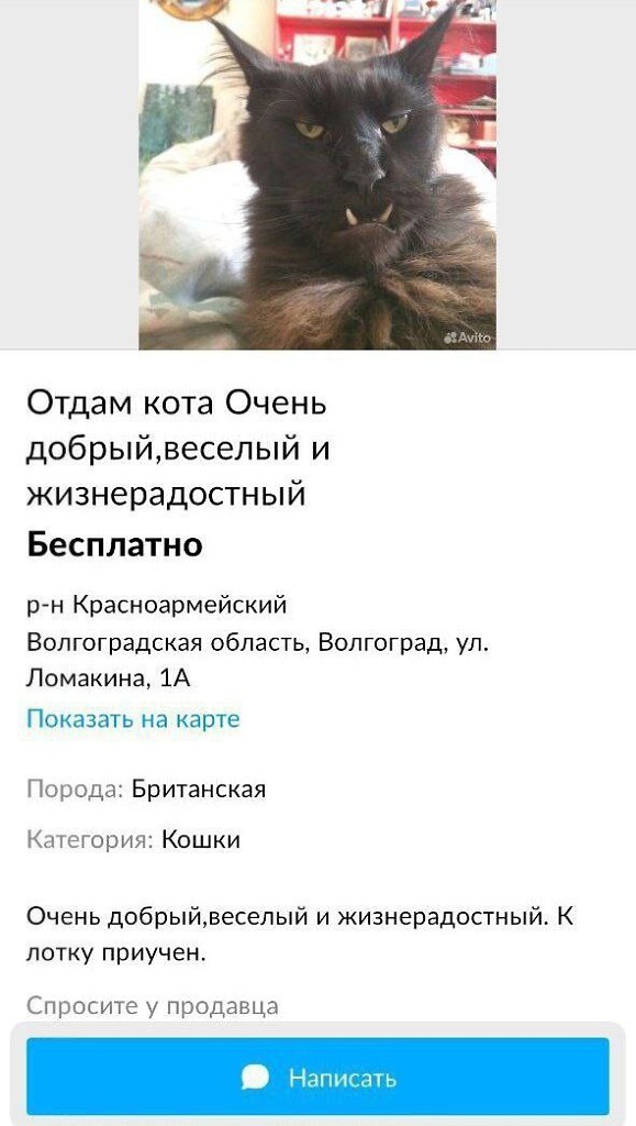   - 3  2024  22:43