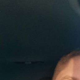 �����, ������, 41 ���